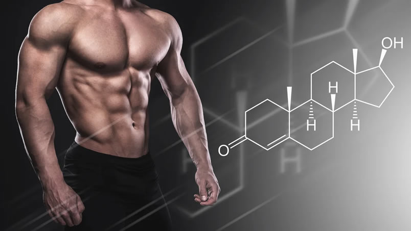 testosterone