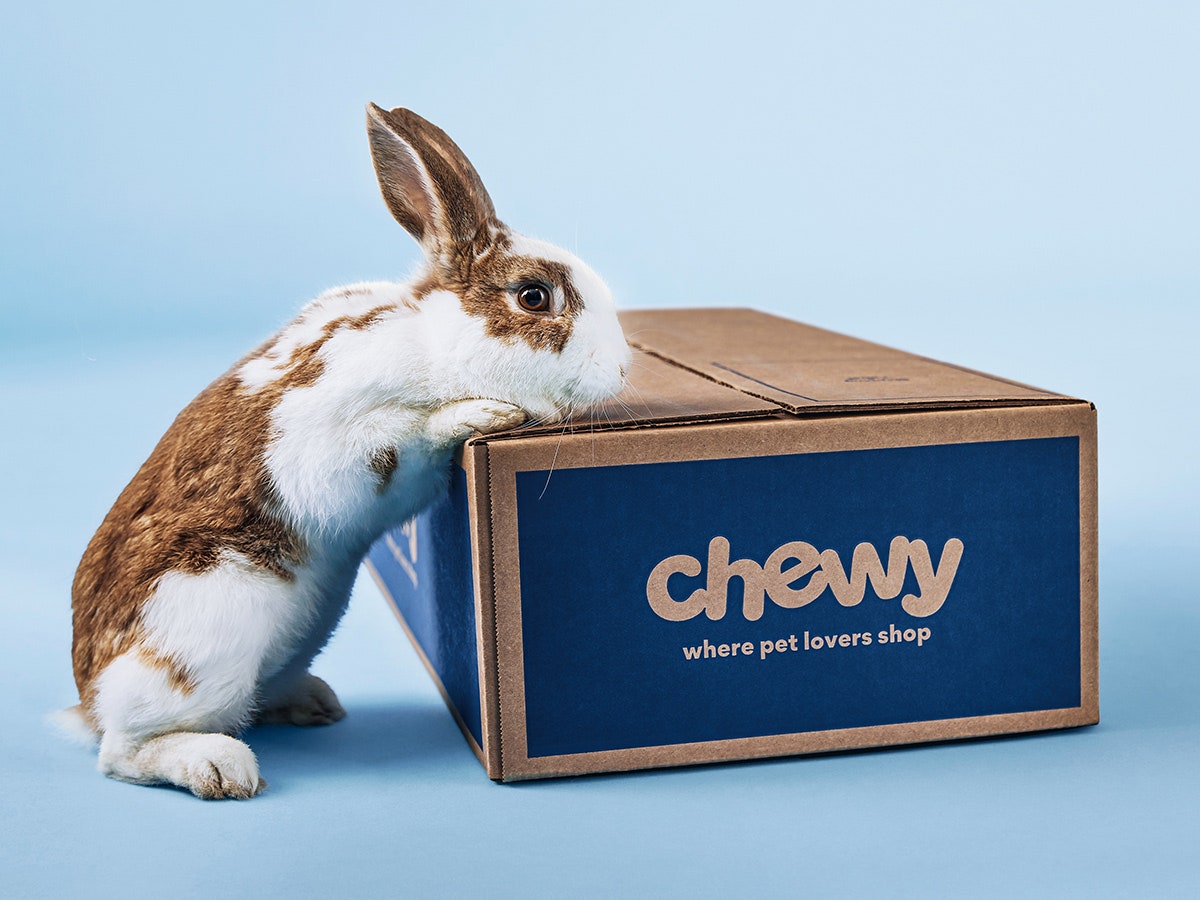 Bunny rabbit sniffing Chewy.com box
