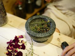Ayahuasca & Traditional Shamanic Healing